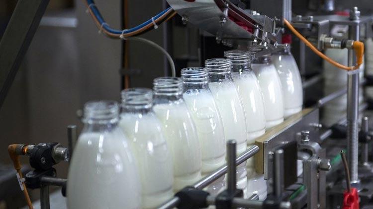 Fransadaki virüslü süt ürünleri skandalında yeni perde: Bakanlığa hırsızlar girdi