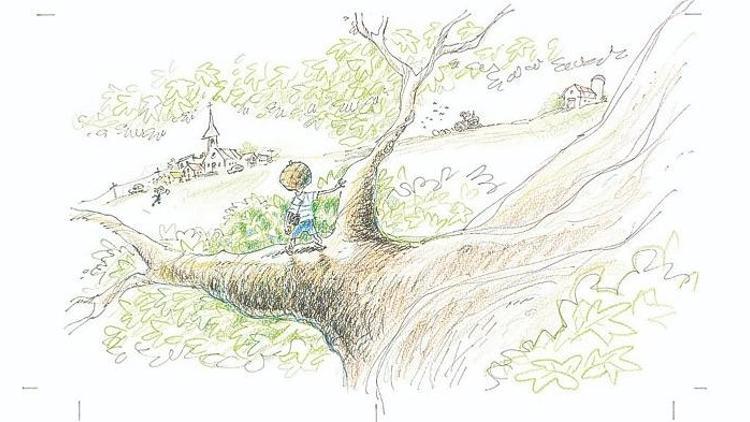 Çocuk, ağaç ve  bir dostluk öyküsü