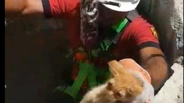 Kilis’te kuyuya düşen kedi kurtarıldı
