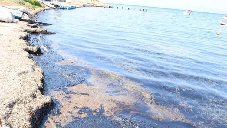 Aliağa ve Foça sahillerinde ham petrol kirliliği (2)