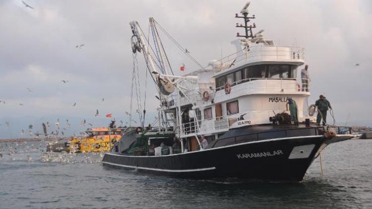 Denizde av sezonu başladı; balık az, fiyatı yüksek