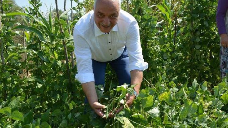 Başkan Tatlıoğlu, kadınlara istihdam kapısı açtı