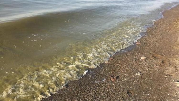 Van Gölündeki kirliliğe tepki