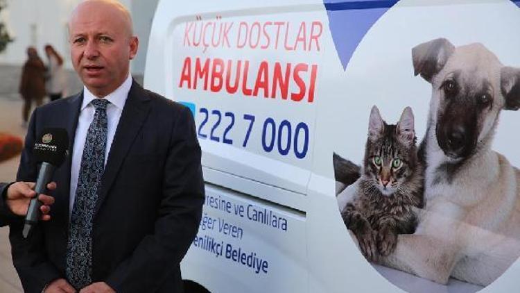 Küçük Dostlar ambulansı bin 252 hayvana müdahale etti