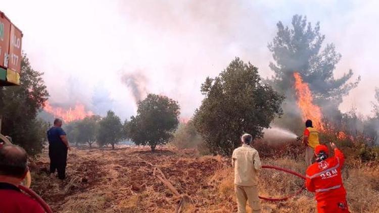 Hatay’da 4 farklı noktada orman yangını