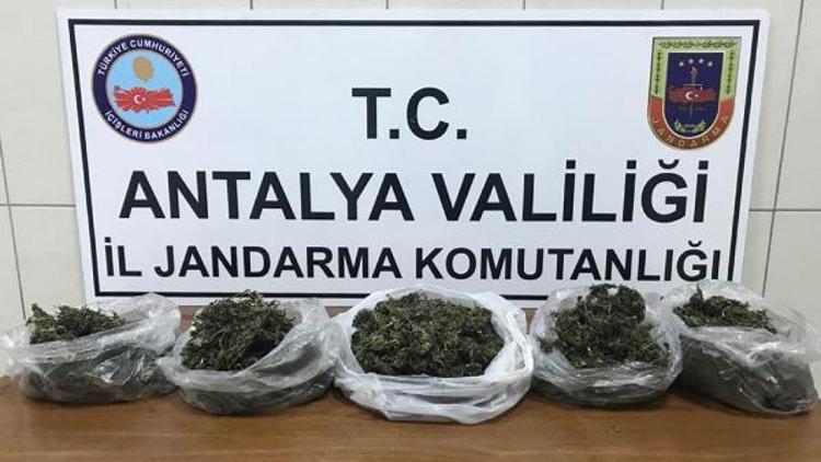 Alanya’da 2 kilo esrar ele geçirildi