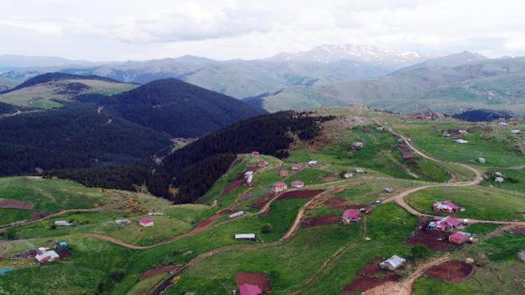 Ordu Valiliği uyardı: Yayla evlerinde erzak bırakmayın