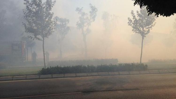 İzmirde yol kenarındaki otluk alanda yangın