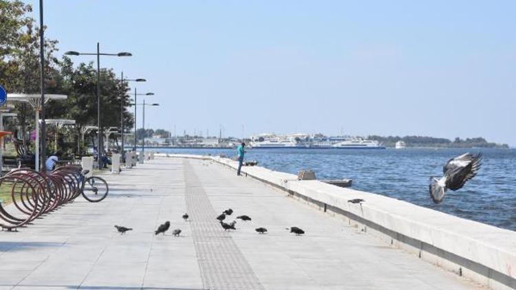 İzmirde Körfez kirliliği ve kokudan amatör balıkçılar da dertli