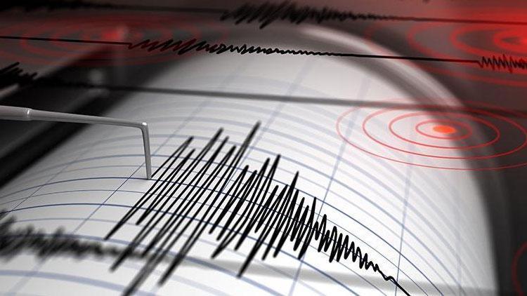 Yeni Zelanda yakınlarında 6.9 büyüklüğünde deprem