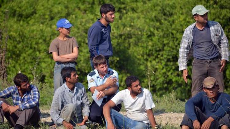 Tarımda işçi açığı Suriyeliler ile giderilecek