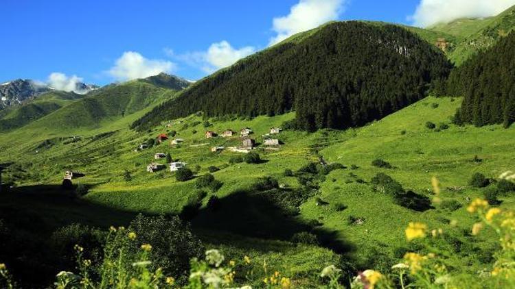 Rizede aranan 11 Ayder Yaylası bulundu