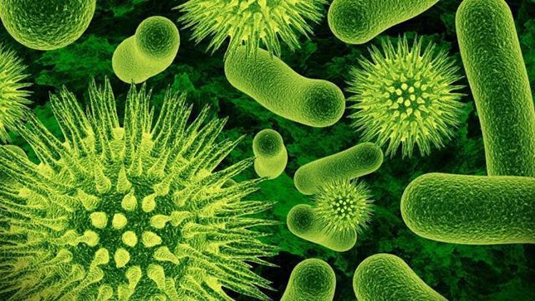Tüm antibiyotiklere dirençli süper bakteri keşfedildi