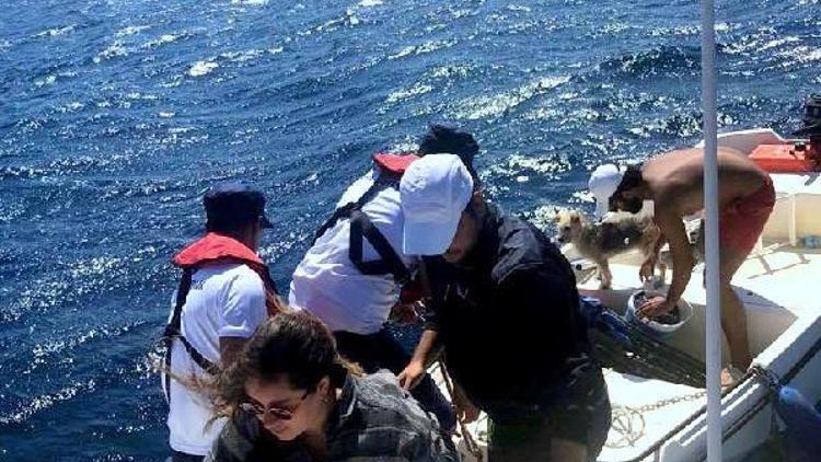 Sürüklenen teknede mahsur kalan 3 kişi ve köpekleri kurtarıldı