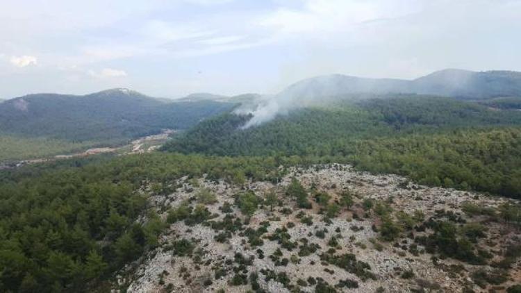 Milasta 5 dönüm ormanlık yandı
