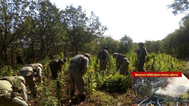 Diyarbakırdaki operasyonda patlayıcı düzenekleri ve 7 ton esrar ele geçirildi