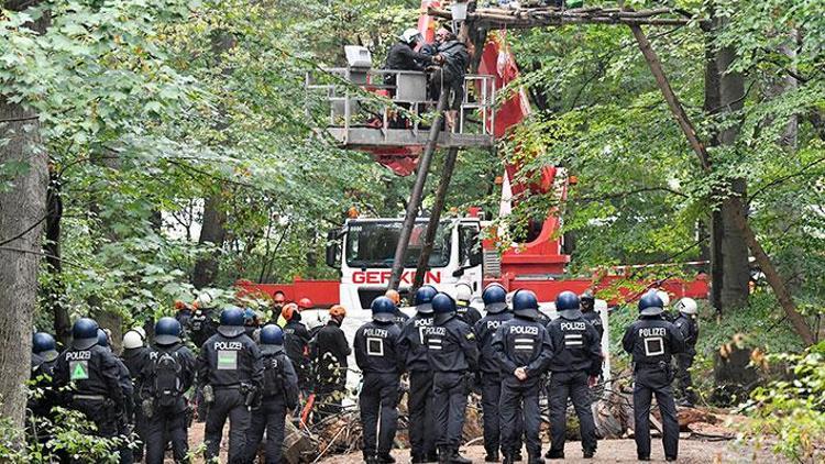 Polis ağaçlardan protestocu topladı