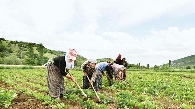 Çiftçilere arazi müjdesi