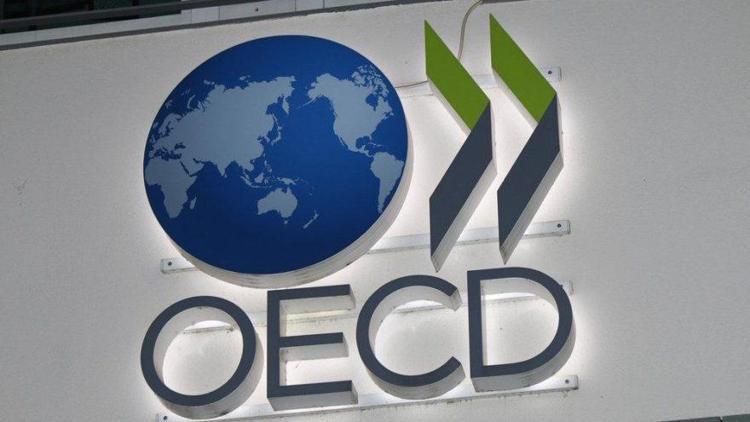 OECDden 2008 finansal krizi itirafı