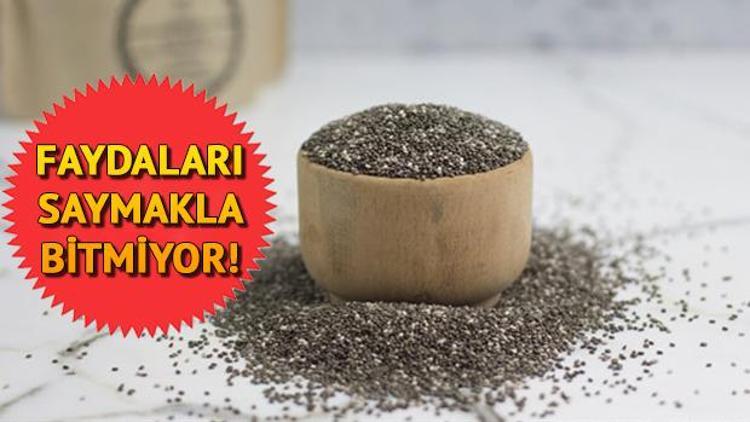 Chia tohumu nedir Chia tohumunun faydaları neler