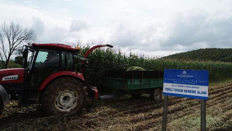 Ek hava fotoğrafları // “Milli Tarım Yerli Tohum Deneme Ekimleri” projesinde ilk mısır hasadı yapıldı
