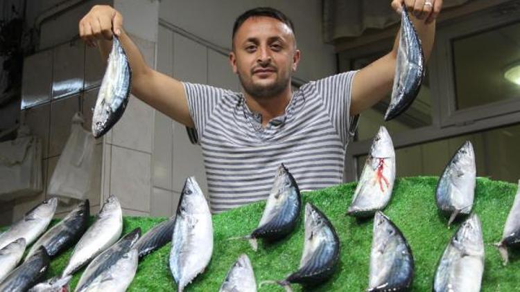 Zonguldakta balık tezgahta el yakıyor