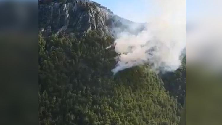 Antalyada orman yangını