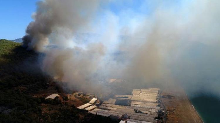 Antalya Kumlucada orman yangını (3)