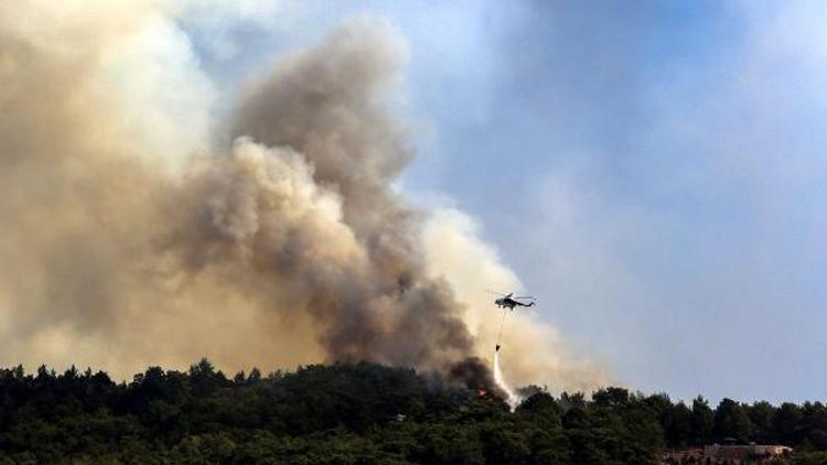 Antalya Kumlucada orman yangını (4)