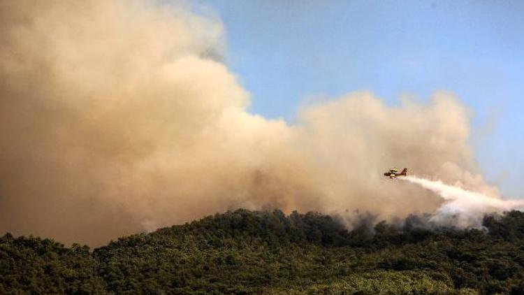 Antalya Kumlucada orman yangını (5)