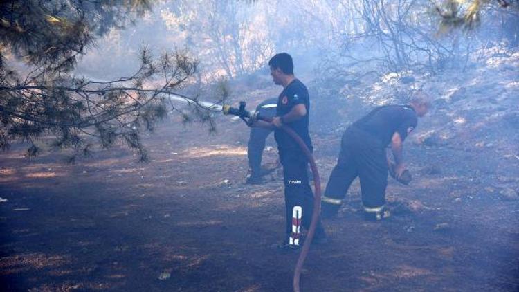 Antalyada yangın: 5 hektarlık orman yandı