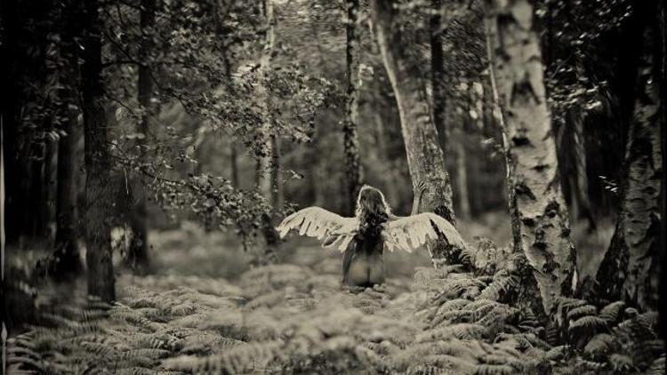 Alex Timmermans Contemporary İstanbulda