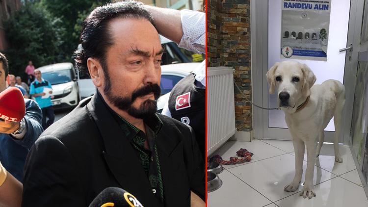 Adnan Oktar’ın Cango’su ortada kaldı iddiası