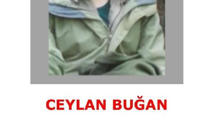 Bingölde öldürülen PKKlı kadın terörist, gri listede çıktı