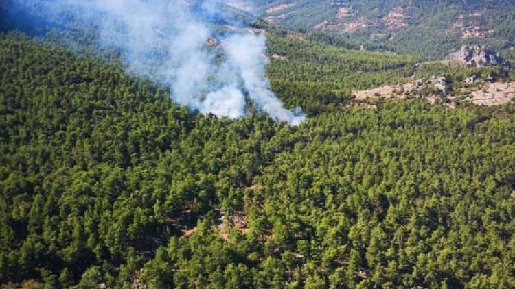 Antalya Serikte orman yangını (2)