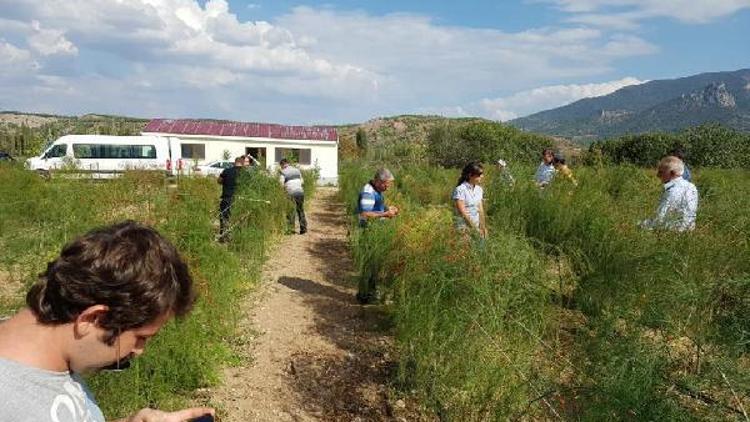 Pınarhisarlı çiftçiler Kuşkonmaz vadisini ziyaret etti
