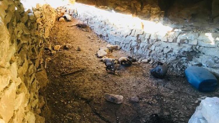 Herokol Dağında teröristlere ait 2 mağara bulundu
