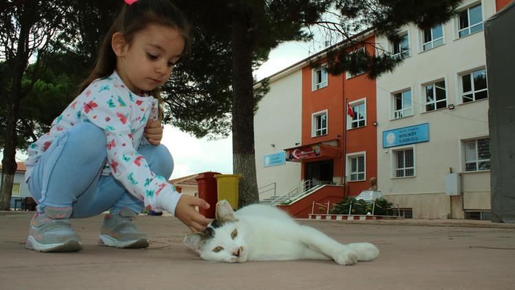 ‘Pamuk’ okulun maskotu oldu