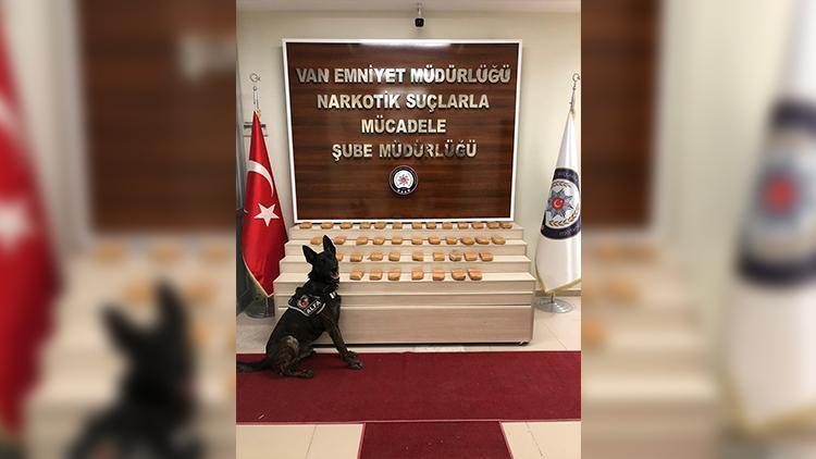 Van’da uyuşturucu operasyonu