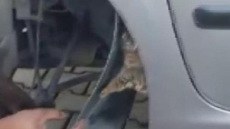 Otomobilinin çamurluğuna sıkışan yavru kedi kurtarıldı
