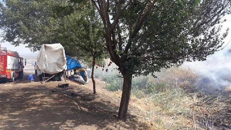 Yılanı kaçırmak için yaktıkları ateş panik yaşattı