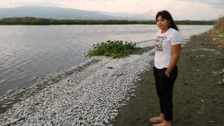 Asi Nehrinde on binlerce balık telef oldu