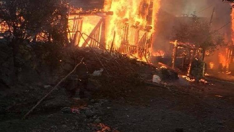 Kastamonuda 9 ev, 1 ahır yandı (2)