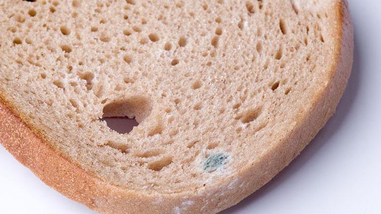 Ekmeğin küflü yerini koparıp gerisini yiyorsanız büyük tehlikede olabilirsiniz
