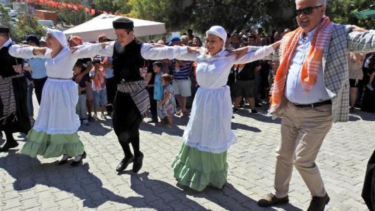 Çeşmenin Sakız koyunları ve koçları en iyi seçilmesi için yarıştırıldı