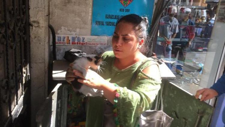 Yavru kediyi kurtarmak için elini trafoya soktu