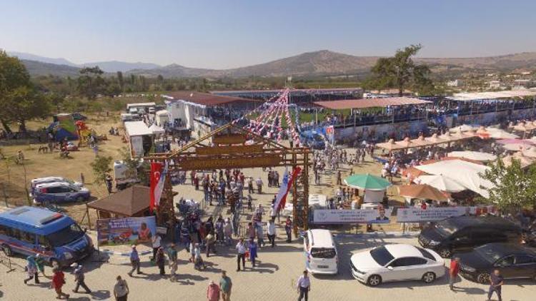 Güreşseverler, Yunusemredeki festivali çok beğendi