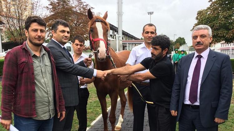 Tayın fiyatı dudak uçuklatıyor