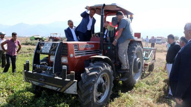 Osmaniyede yer fıstığı hasadına başlandı