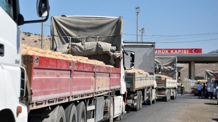 Cilvegözünden, 2018de toplam 73 bin TIR çıkış yaptı